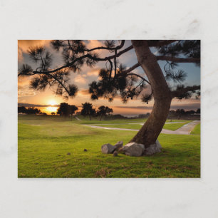 Postal Campo de golf Sunset