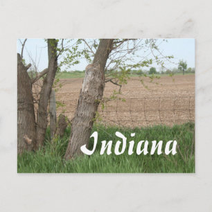 Postal Campo de Indiana