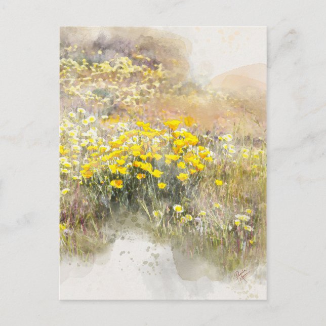 Postal Campo de la PostCard de Poppies (Anverso)