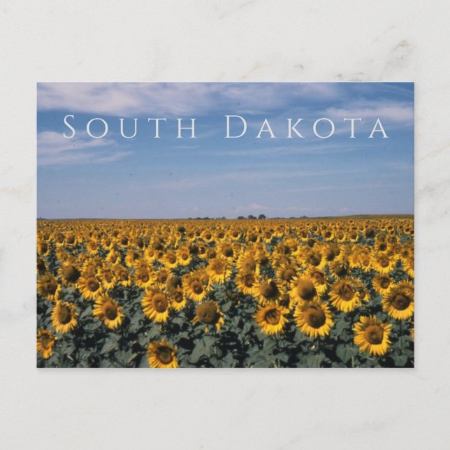 Postal Campo de los girasoles, Dakota del Sur (Anverso)