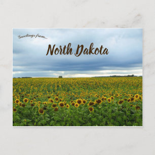 Postal Campo de los girasoles en Dakota del Norte Estados