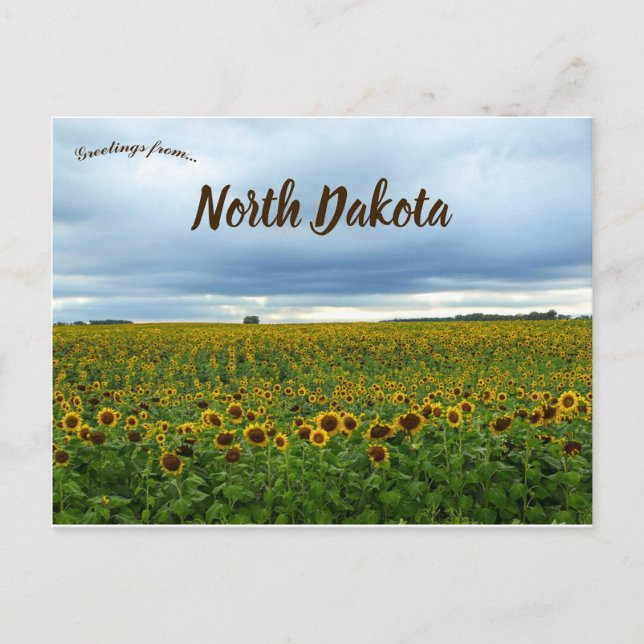 Postal Campo de los girasoles en Dakota del Norte Estados (Anverso)
