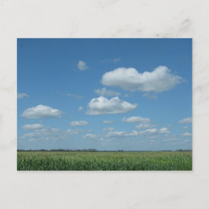 Postal Campo de maíz de Dakota del Norte