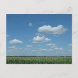 Postal Campo de maíz de Dakota del Norte
