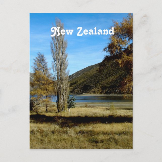 Postal Campo de Nueva Zelanda (Anverso)