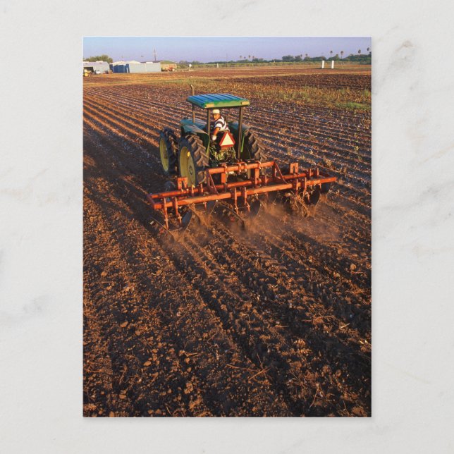 Postal Campo de prueba de algodón (Anverso)