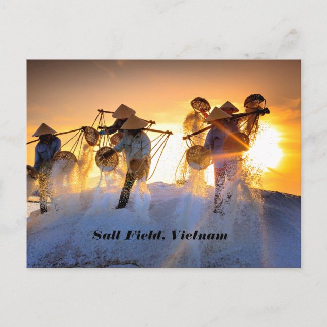 Postal Campo de Sal de Vietnam (Anverso)