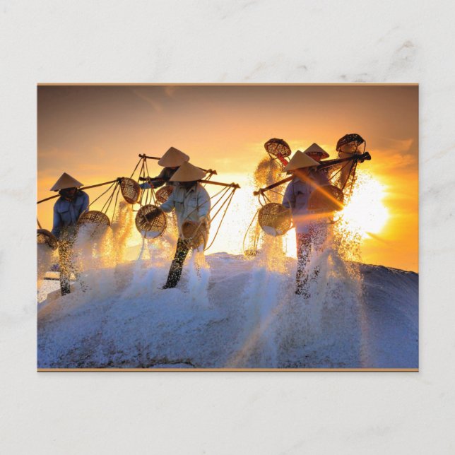 Postal Campo de sal de Vietnam (Anverso)