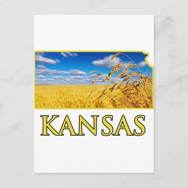 Postal Campo de trigo de Kansas (Anverso)