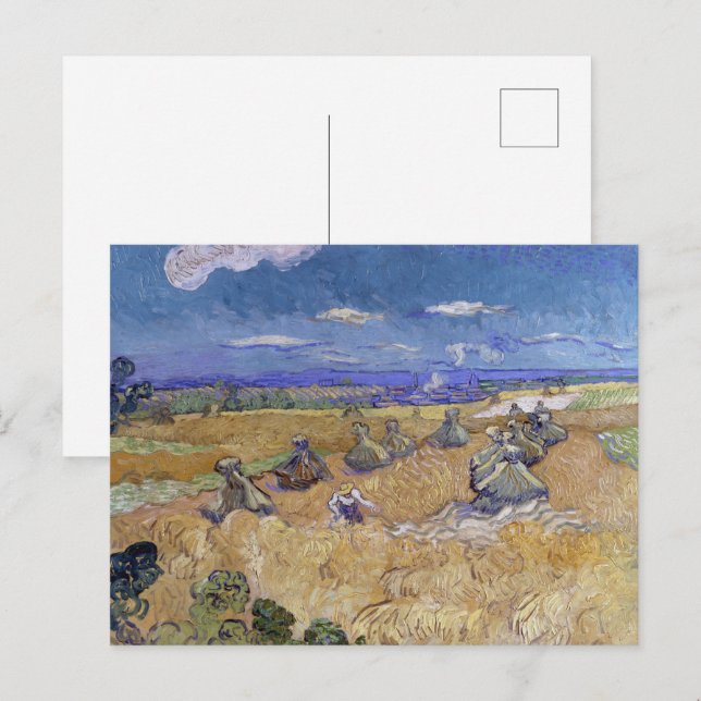 Postal Campo de Trigo de Van Gogh - Arte de Cosecha Dorad (Anverso / Reverso)