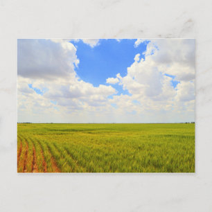 Postal Campo de trigo en el condado de Scott, Kansas