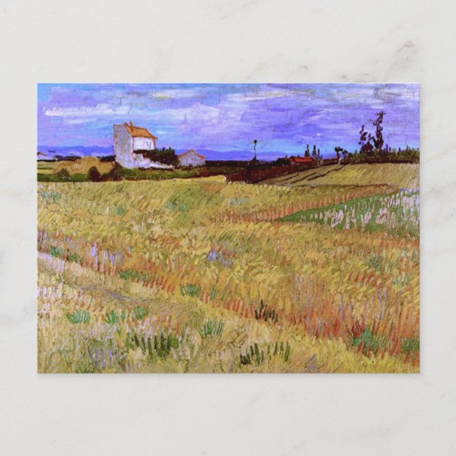 Postal Campo de trigo (F564) Bella Artes Van Gogh (Anverso)