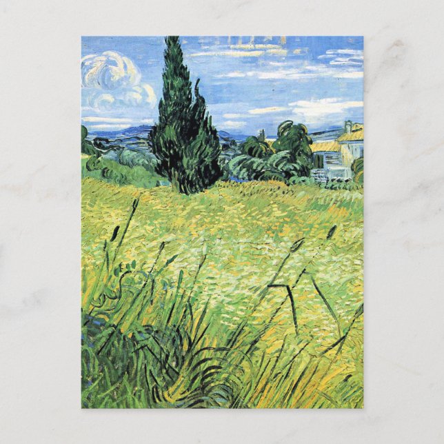 Postal Campo de trigo verde con ciprés, (Anverso)