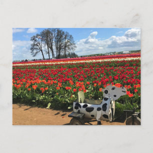 Postal Campo de tulipán con vaca de juguete, Oregón