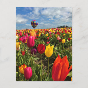 Postal Campo de tulipanes coloridos con globo