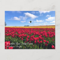 Campo de tulipanes rojo y amarillo con globo de ai