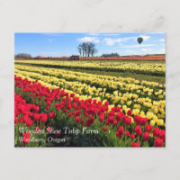 Campo de tulipanes rojo y amarillo con globo de ai