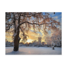 Campo del invierno en Letonia