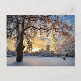 Postal Campo del invierno en Letonia