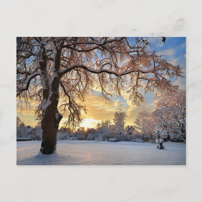 Postal Campo del invierno en Letonia (Anverso)