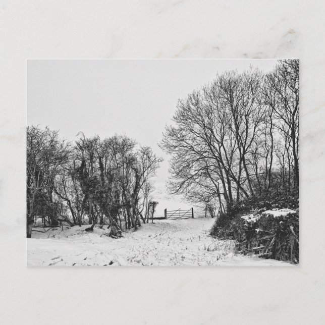 Postal Campo en la nieve (Anverso)