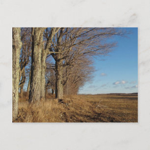 Postal Campo I de noviembre