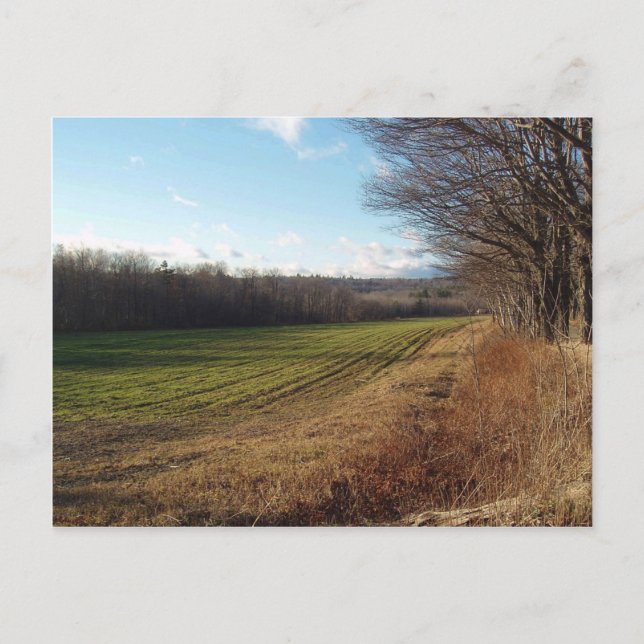 Postal Campo II de noviembre (Anverso)