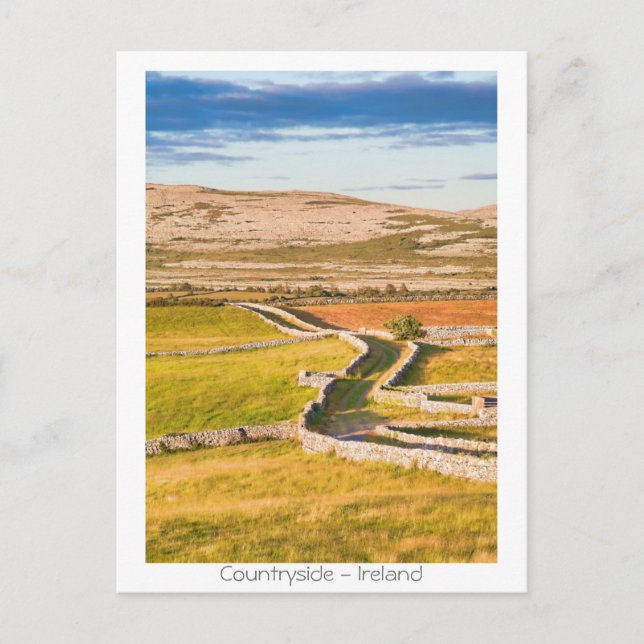 Postal Campo irlandés (Anverso)