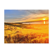 Campo junto al lago