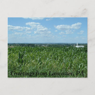 Postal Campo Lancaster, saludos desde Lancaster, PA