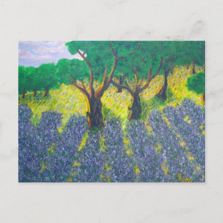 Postal Campo Lavender