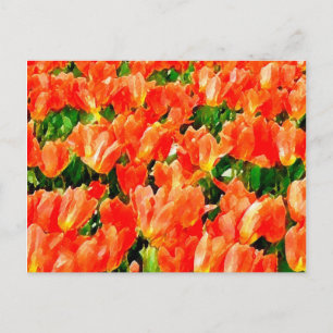 Postal campo naranja de tulipanes