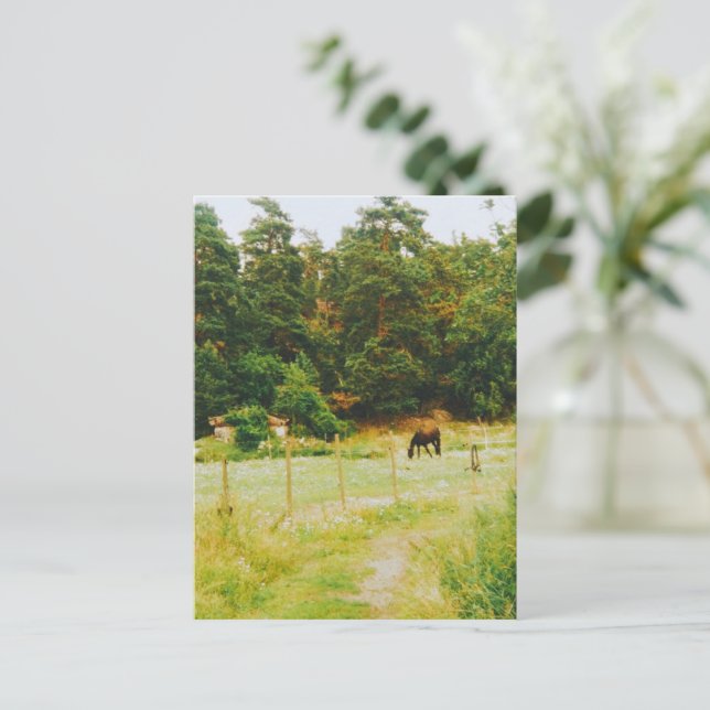 Postal Campo sueco (Anverso de pie)