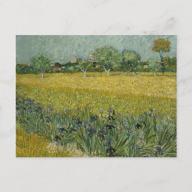 Postal Campo Van Gogh Con Flores Cerca De Arles (Anverso)