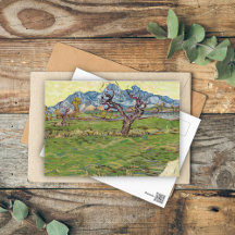 Campos cerca de los Alpilles Vincent van Gogh