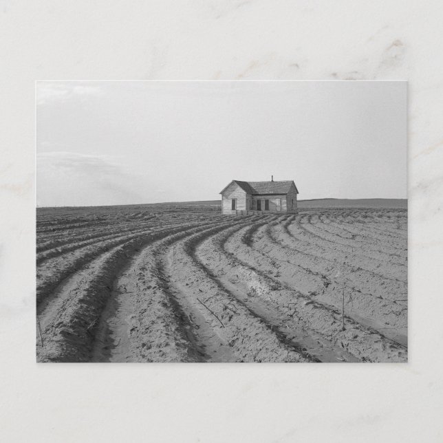 Postal Campos de algodón, 1938 (Anverso)
