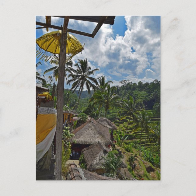 Postal Campos de arroz en la terraza de Bali en Indonesia (Anverso)