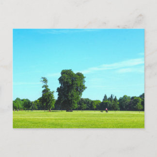 Postal Campos de Blackweir. Bute Park, Cardiff, Gales.