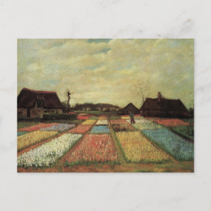 Postal Campos de bulbos por Vincent van Gogh