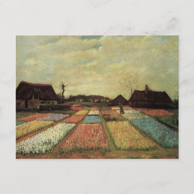 Postal Campos de bulbos por Vincent van Gogh (Anverso)