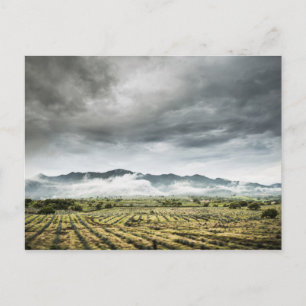 Postal Campos de cultivo rurales bajo cielo nublado