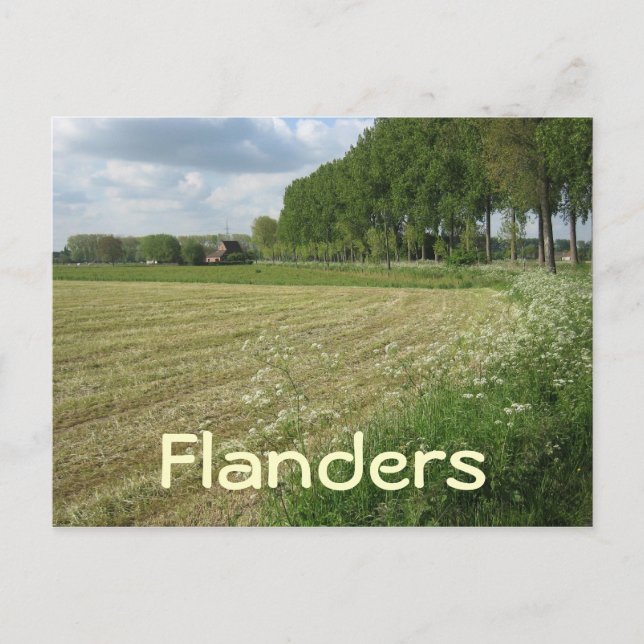 Postal Campos de Flandes (Anverso)