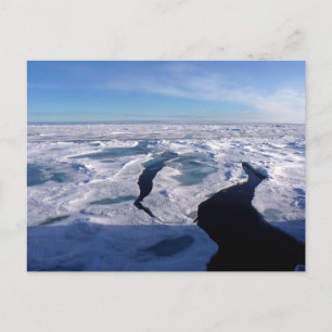 Postal Campos de hielo en el Océano ártico