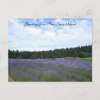 Postal Campos de lavanda