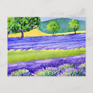 Postal Campos de lavanda Francia