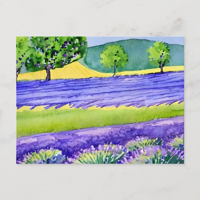 Postal Campos de lavanda Francia (Anverso)