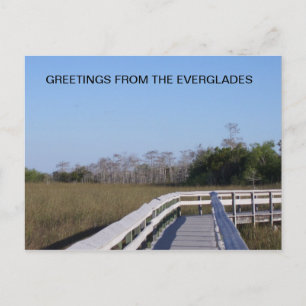 POSTAL CAMPOS DE LOS EVERGLADES
