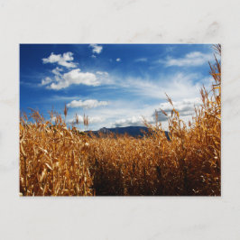 Postal Campos de maíz de otoño