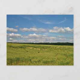 Postal Campos de Trigo