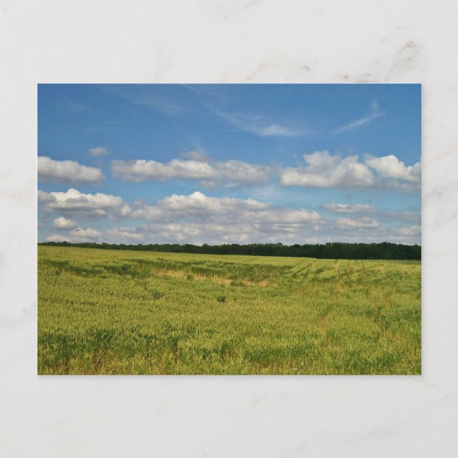 Postal Campos de Trigo (Anverso)